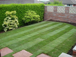 Lawn Turfing - Devizes Wiltshire